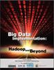 Big Data Implementation  Hadoop and Beyond