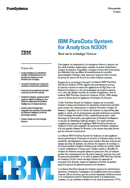 Analytique : IBM PureData System for Analytics N3001