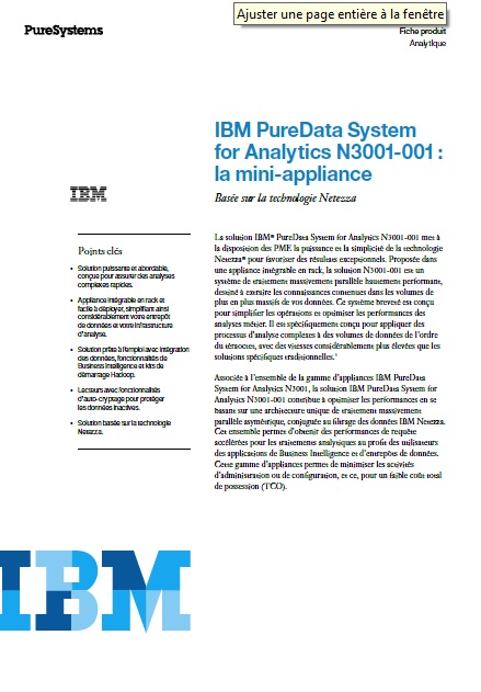 Analytique : IBM PureData System for Analytics N3001-001: la mini-appliance
