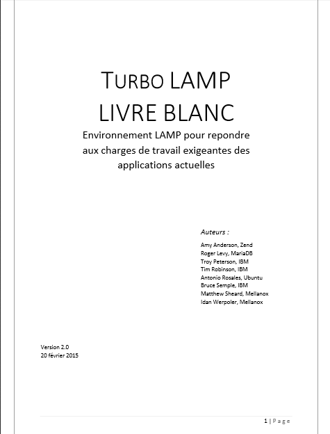 TURBO LAMP : Environnement LAMP pour repondre aux charges de travail exigeantes des applications actuelles