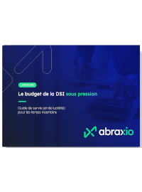 Le budget de la DSI sous pression